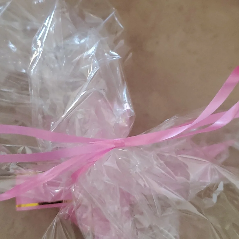 Clear Gift/Storage Bag with pink Ribbon nwot
